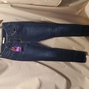 Daytrip High Rise Skinny Jeans SZ 29